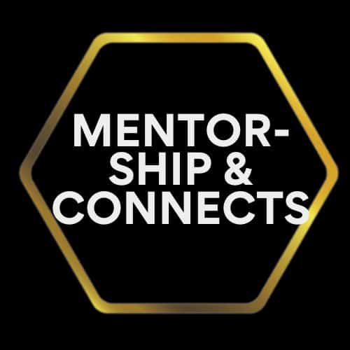 Mentorship and connects, network